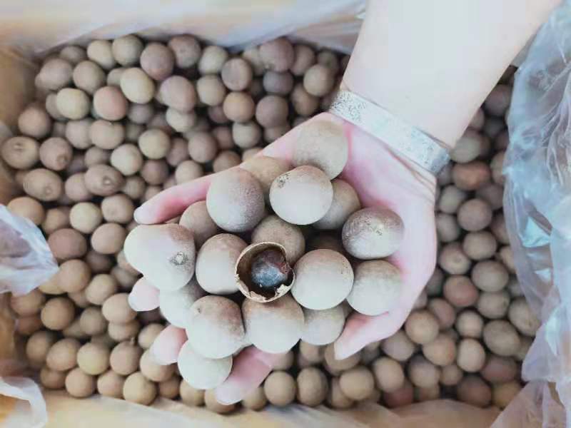 超市货架上的泰国龙眼包装产品