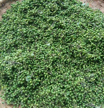 调味品木姜子山蝴椒木姜子