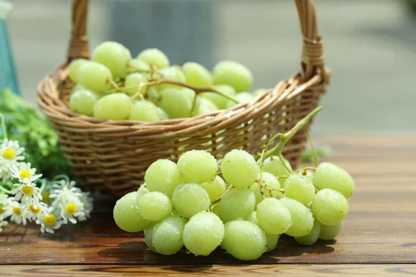 家庭催熟操作示意图