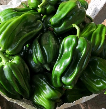 [树椒批发]麻辣头价格0.60元/斤 - 一亩田