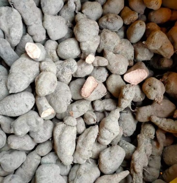 [三叶青批发]无硫三叶青价格90.00元/斤 - 一亩田