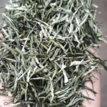 九寨雪芽