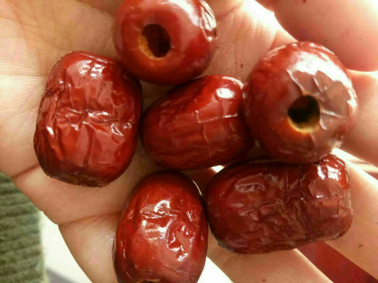 脆枣横切对比图：左侧为正常密实脆枣，右侧为典型空心脆枣，清晰可见中心区域蜂窝状孔隙与边缘完整枣肉分界