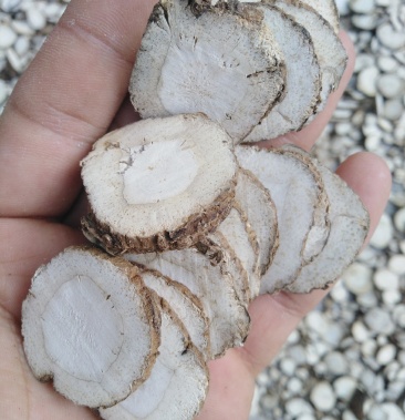 [白芷批发]白芷 新货白芷无硫白芷香白芷片无添加自