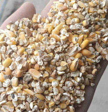 碎玉米下脚料,鸭鹅养殖饲料,无土沙无霉变