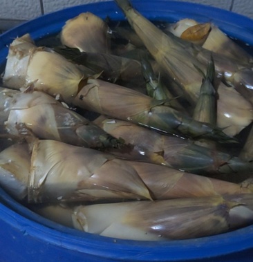 [竹笋批发]林岳吊丝丹价格6.00元/斤 - 一亩田