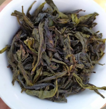 黃金桂茶葉惠來八仙茶詔安富硒八仙茶汀洋高山土山茶黃金桂茶