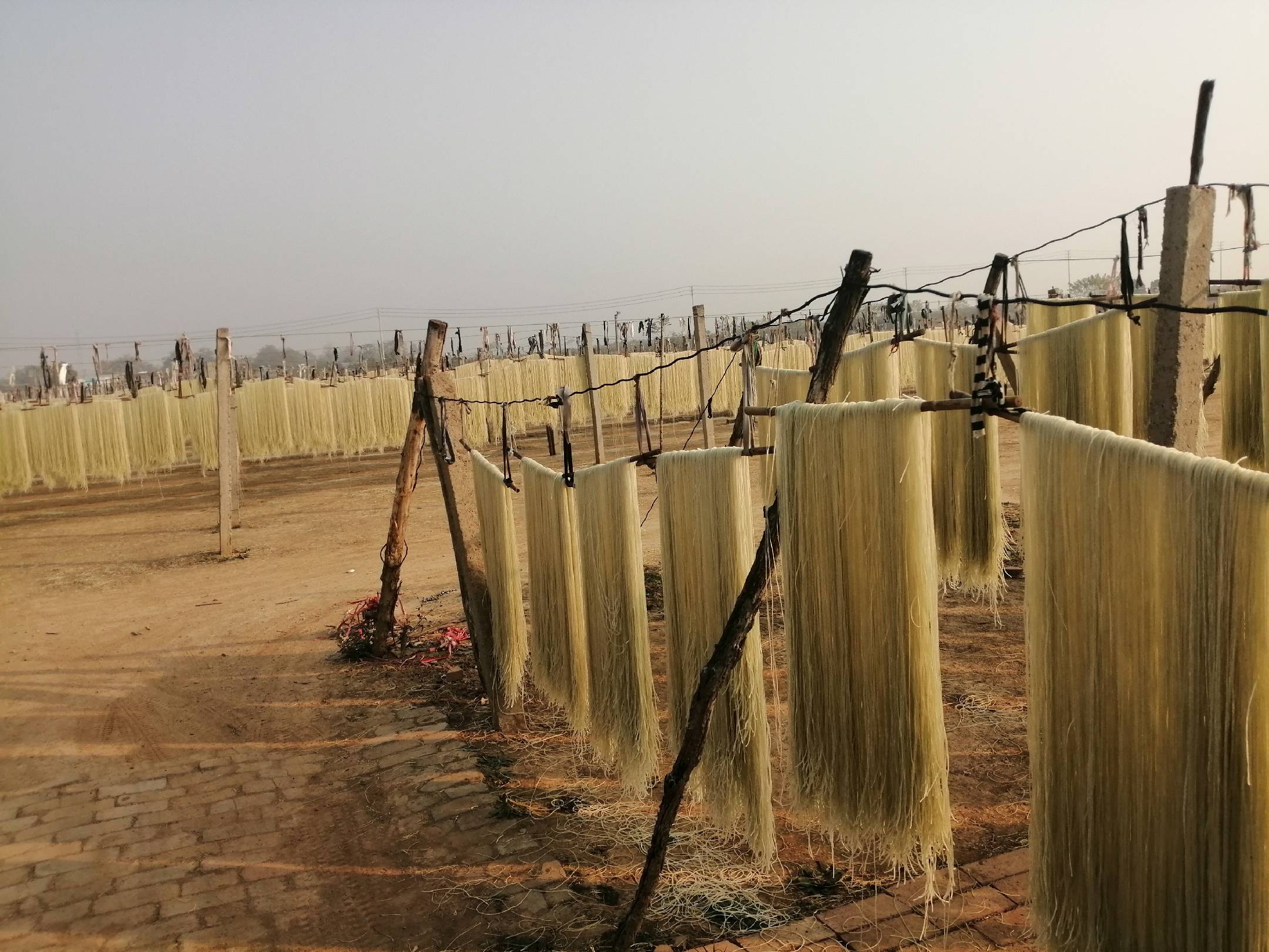 南瓜切片晾晒场景图