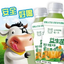 果味儿乳酸菌