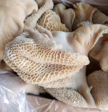 新鲜牛肚量大优先