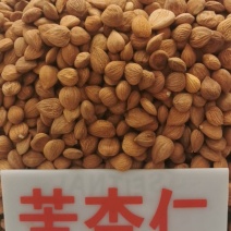 苦杏仁，甜杏仁，去皮苦杏仁，炒杏仁，脱苦杏仁，南北杏