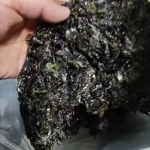 大量批发新货紫菜65元一斤