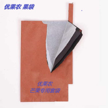 芒果专用套袋三层育果袋防虫防雨防菌果袋