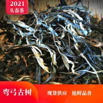 2021年春茶易武弯弓早春古树散茶云南普洱茶生茶散装