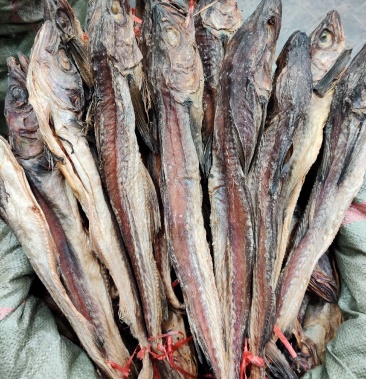 [鱼干批发]硬身有头价格33.00元/斤 - 一亩田