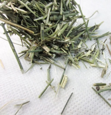 无硫穿心莲中药材500克新货川心连苦胆草穿心莲中草药