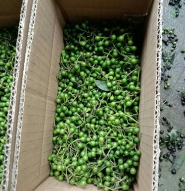 [木姜子批发]野生木姜子现搞现发价格8.00元/斤 - 一亩田