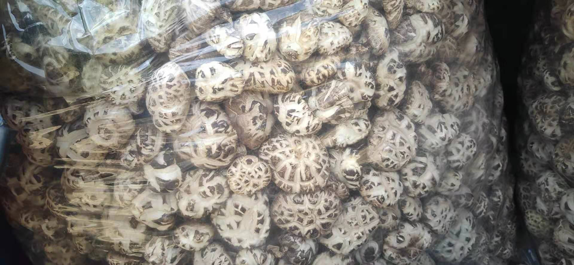 卤香菇成品图