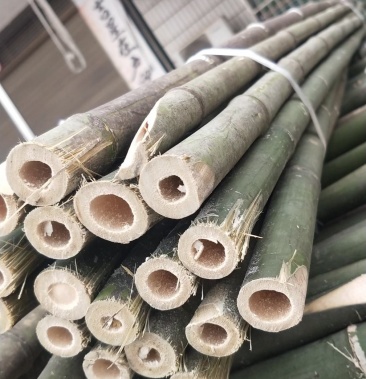 小竹杆架种菜园搭架豆角黄瓜架竹篱笆栅栏彩旗杆粗楠防腐竹竿