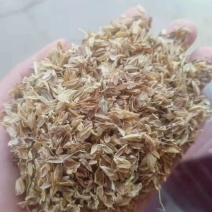 稻壳