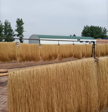 河南汝州粉条大量走货