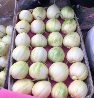 便宜又甜大香瓜大量下来了,有想要好货的抓紧时间