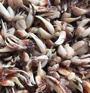 新鲜冷冻沙蟹脚蟹钳蟹脚生呛捞汁材料海洋蟹脚