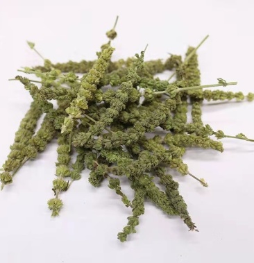 荆芥新货荆芥无硫无添加荆芥穗全草荆芥大货批发零售