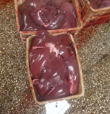 猪肝(母猪食品级猪肝,新品,量大)