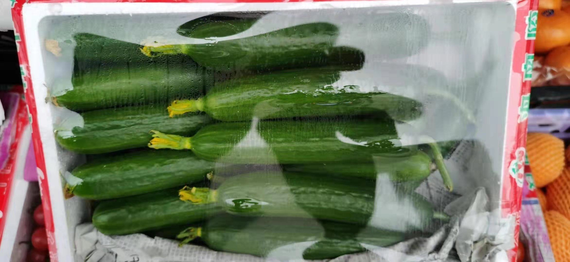 超市货架上陈列着包装完整的小黄瓜商品，透明塑料盒内黄瓜排列整齐，标签注明产地与净重信息
