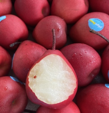 新西兰红啤梨口感特别脆