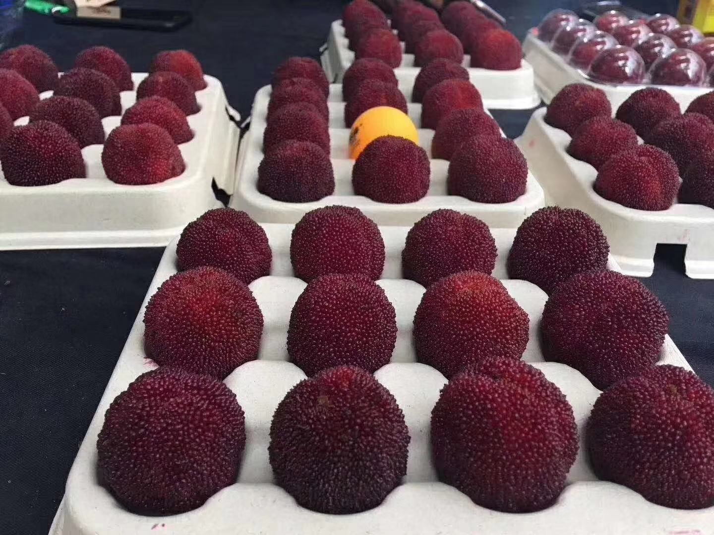 东魁杨梅果实特写