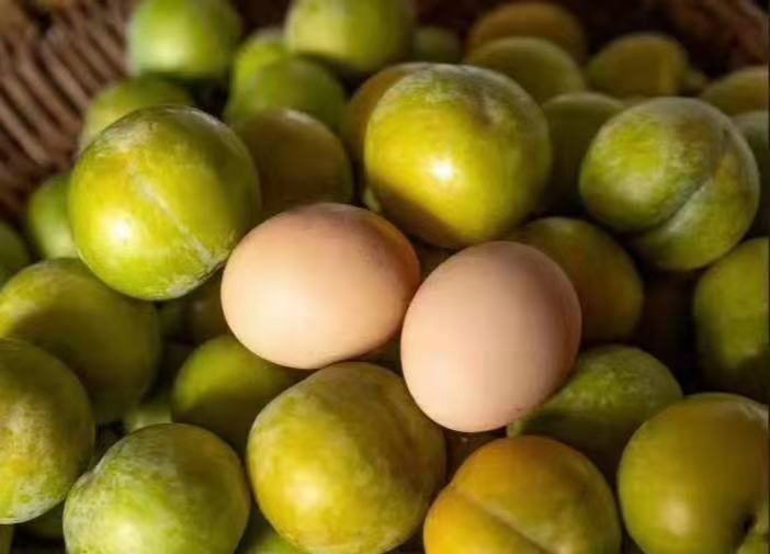 脆蜂蜜甜李子多种食用方式展示图