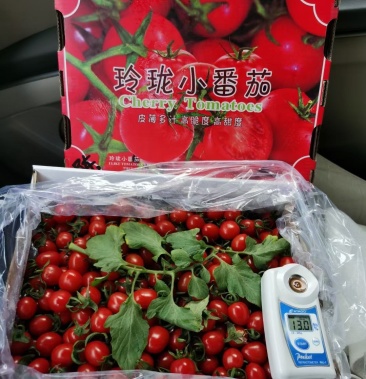 玲珑千禧果釜山88单果6克到12克糖度12个以上