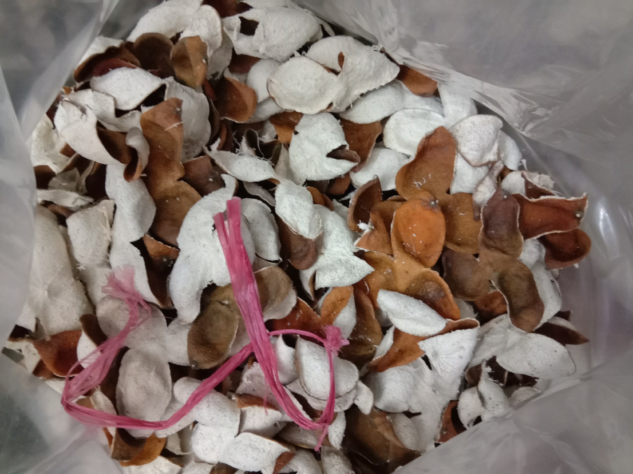 展示沃柑陈皮用于泡茶、炖汤、做面膜等多种使用方式的图集,体现其多功能性 沃柑陈皮的多种使用方式展示图