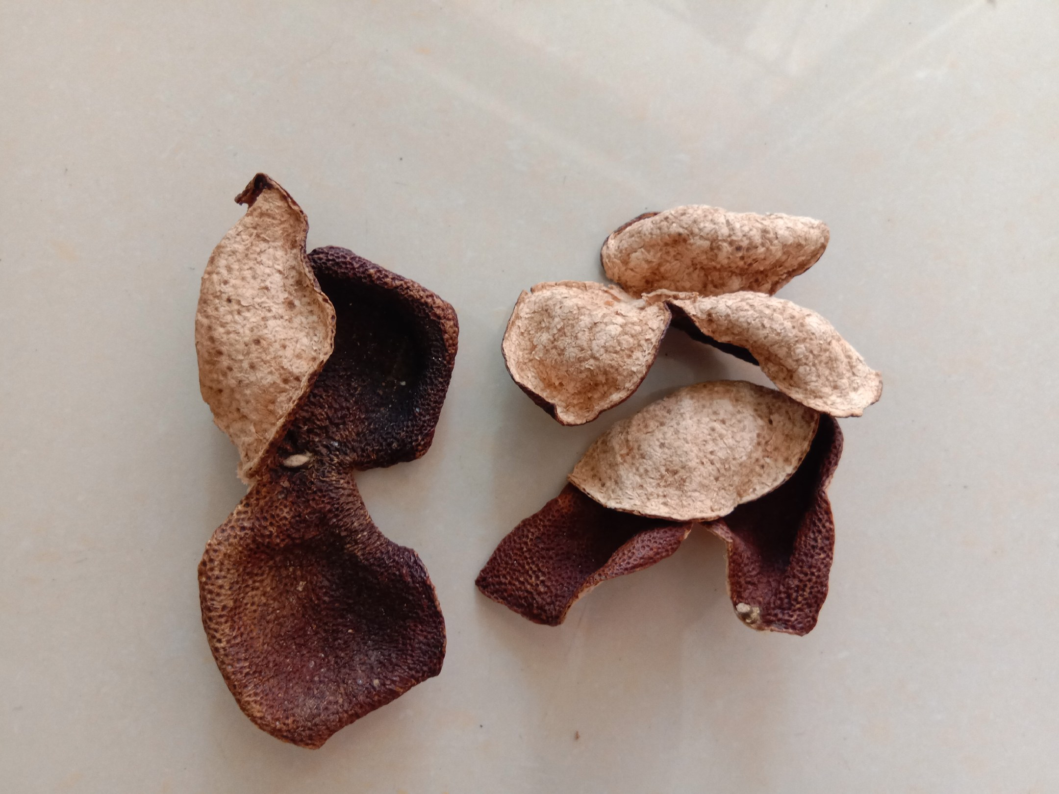 图示蜂蜜碱水软化法:45℃恒温水浴中,小苏打与蜂蜜协同软化内皮,温度计显示精准45.0℃,计时器设定22分钟 蜂蜜碱水软化法实景图:玻璃碗中盛放琥珀色软化液,浸泡着十余枚干核桃,旁边摆放小苏打罐、蜂蜜瓶、温度计及计时器,背景为恒温水浴锅