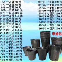 营养钵双色杯各种型号大量有货欢迎老板长期合作