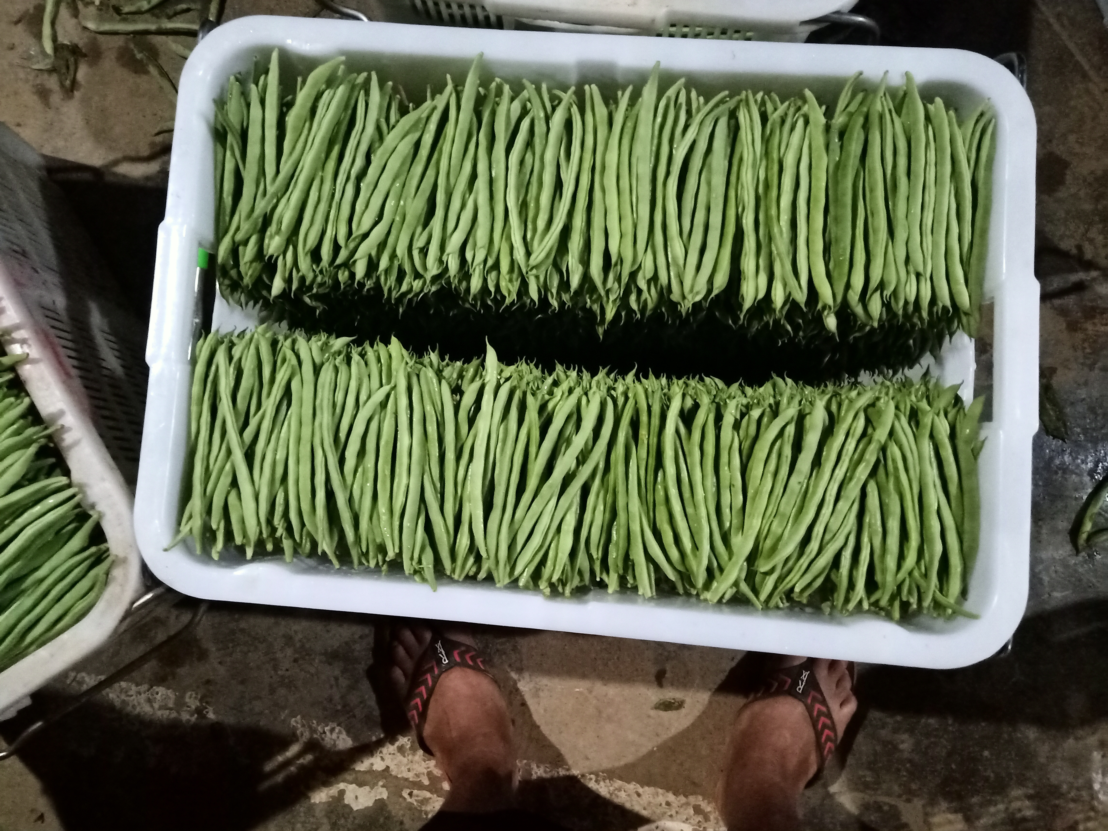 四季豆饺子馅料拌匀过程