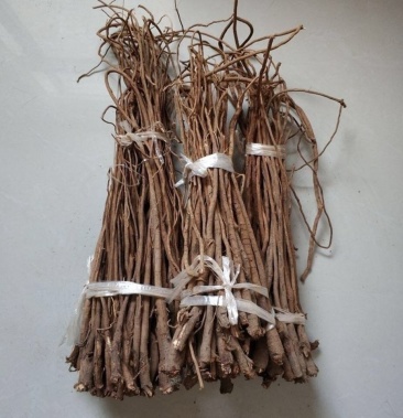 千斤拔野生一条根中药千金拔片中草药千斤抜