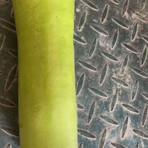 瓠瓜铺子瓜基地货，货源充足，质量保证