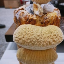 桑黄菌包西峡县科达菌种厂