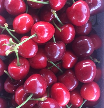 山西运城绛县史村万亩樱桃基地,产地代办,带购.