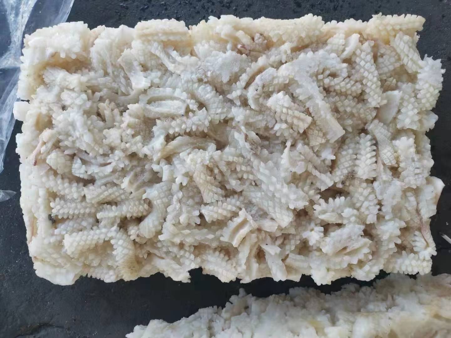 新鲜花蛤特写,贝壳带有自然花纹,表面湿润,背景为沙滩与海水 花蛤特写