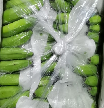 菲律宾进口蕉青黄蕉有货生75元黄80元质量保证