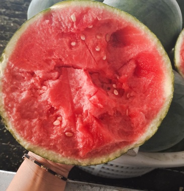 [墨童西瓜批发]精品墨瞳价格2.40元/斤 - 一亩田