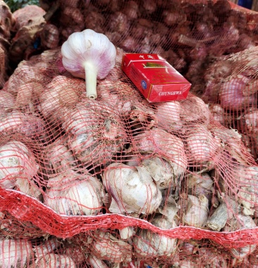 开封本地精品大蒜红皮大蒜产地直发万亩大蒜代购代储