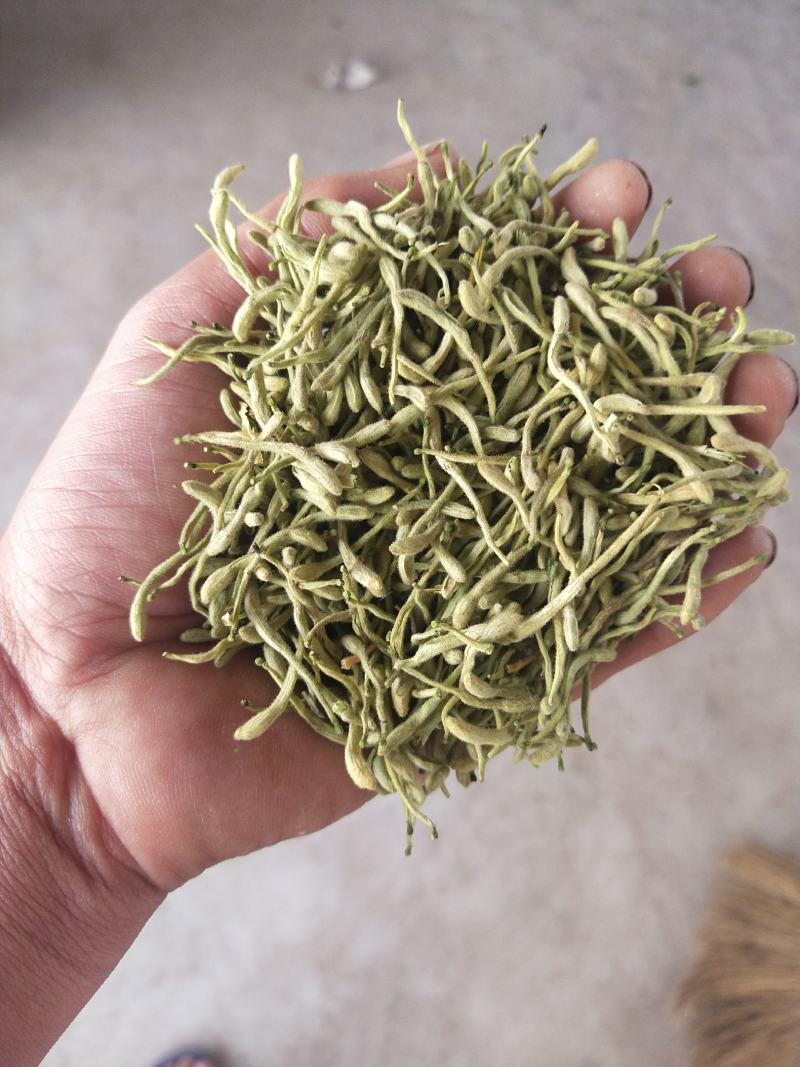 河北邢台巨鹿县金银花 75.00元/斤金银花