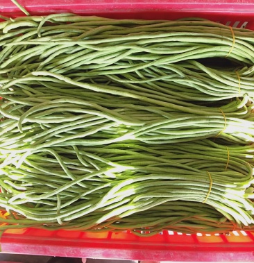 长豆角马上上市啊绿色好看细条欢迎新朋友来电谢谢合作