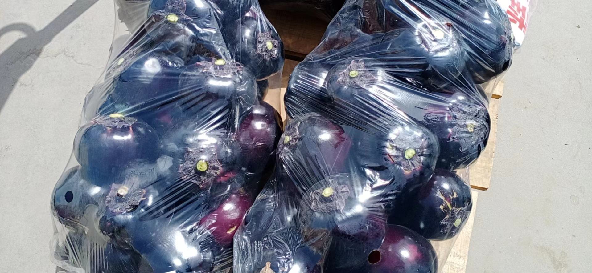 一张俯拍图显示三个透明容器:左侧为直接放入冰箱的圆茄已出现凹陷;中间为纸巾包裹+保鲜袋储存状态良好;右侧为切块冷冻前的预处理过程。配有标签说明不同方法的效果差异 家庭厨房中圆茄的不同储存方式对比图示