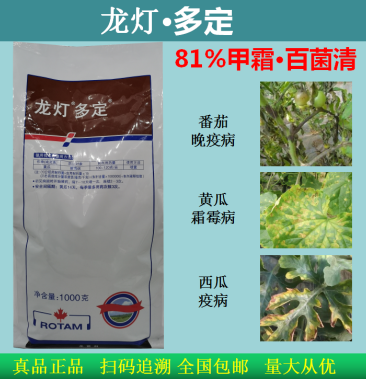 龙灯多定81甲霜灵百菌清复配霜霉病疫病腐烂病杀菌剂
